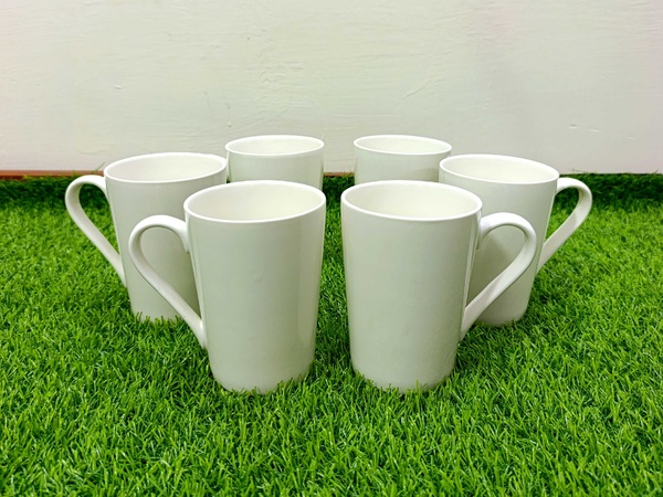 Mug Large (6pcs) (bone china) img