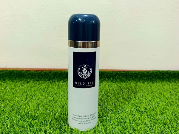 Water Bottle stainless steel (White and dark Blue) img